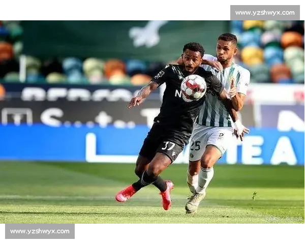 主场优势如何影响比赛结果与球队心理战术分析